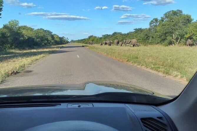 Airport, Hotel and local transfers in Victoria Falls - Final Thoughts