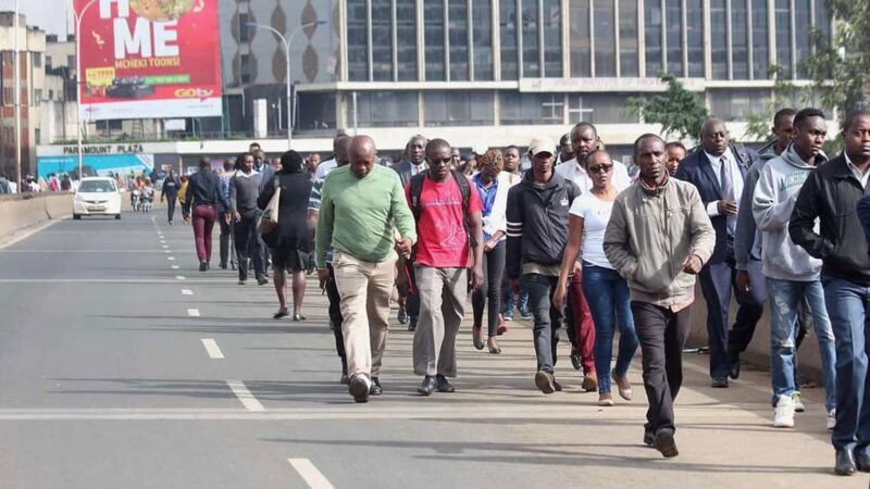Airport Pickup and City Highlights Walking Guided Tour - Exploring Nairobi with Purpose and Practicality
