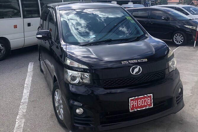 Airport Round-Trip Transfers To Negril From Sangsters International Airport - What to Expect from Your Transfer Experience