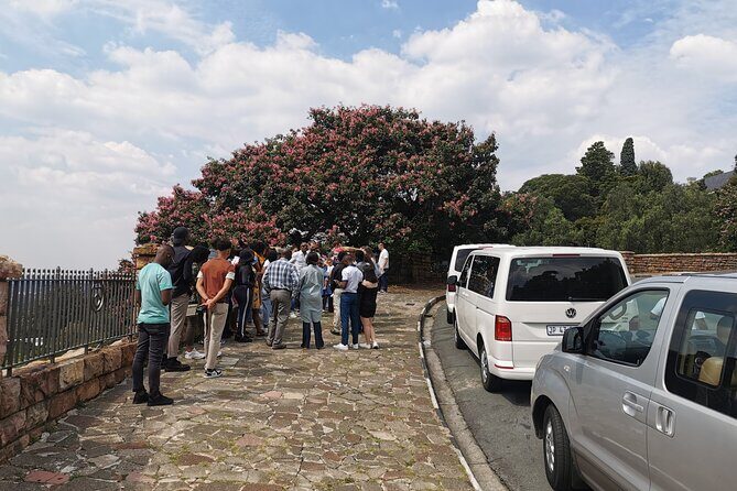 Airport Shuttle and Private Transfers - Detailed Breakdown of the Transfer Experience