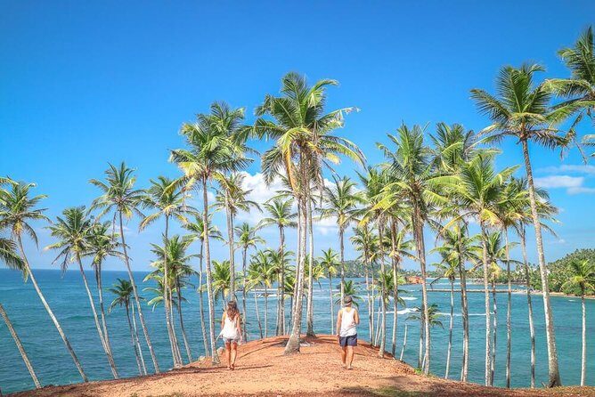 Airport Taxi Transfers from Colombo Airport to Mirissa - Key Points