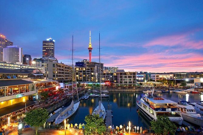 Airport Transfer: Auckland Airport AKL to Auckland by Luxury Van - Who Should Book This Transfer?