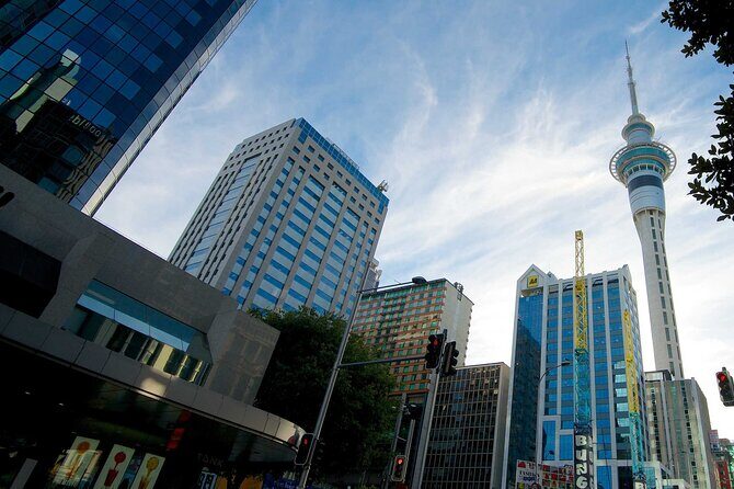 Airport Transfer: Auckland Airport AKL to Auckland by Sedan Car - Analyzing the Value
