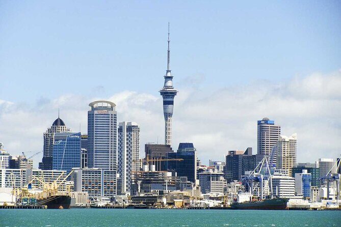 Airport Transfer: Auckland to Airport AKL by Business Car - Why This Transfer is a Good Choice
