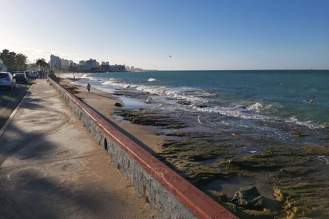 Airport Transfer to Cruise Ships, Hotels, Airbnb in San Juan - The Sum Up: Who Should Consider This Service?