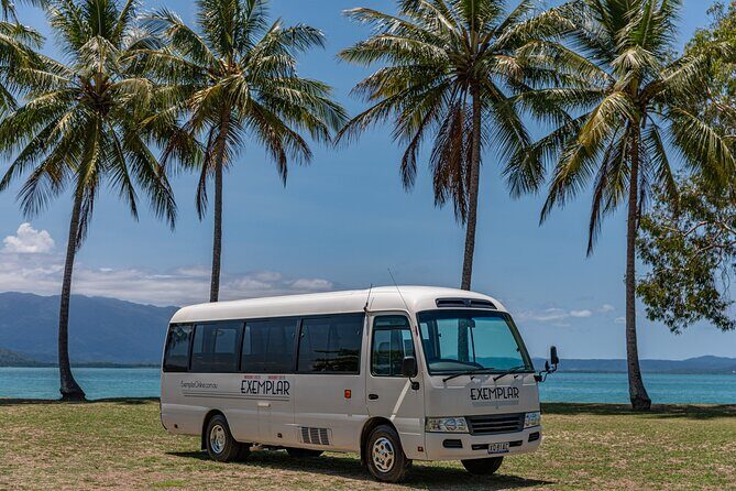 Airport Transfers between Cairns Airport and Palm Cove - What to Expect from Your Cairns Airport to Palm Cove Transfer