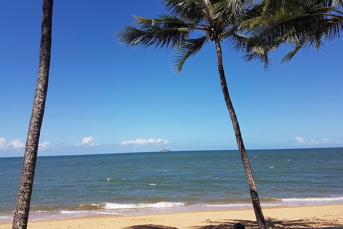 Airport Transfers between Cairns Airport and Palm Cove - Authentic Experiences and Real User Opinions