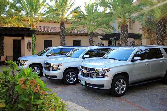 Airport Transportation One Way to Hotel in Cabo San Lucas - The Experience: What You Can Expect from This Private Transfer