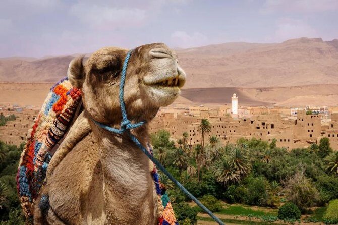 Ait ben haddou and Ouarzazate day trip - Authenticity and Real Traveler Feedback