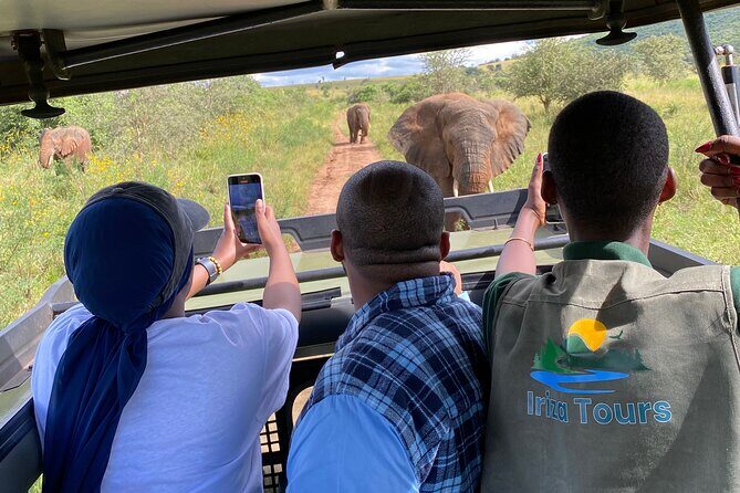 Akagera National Park 1 day Safari Experience - Key Points