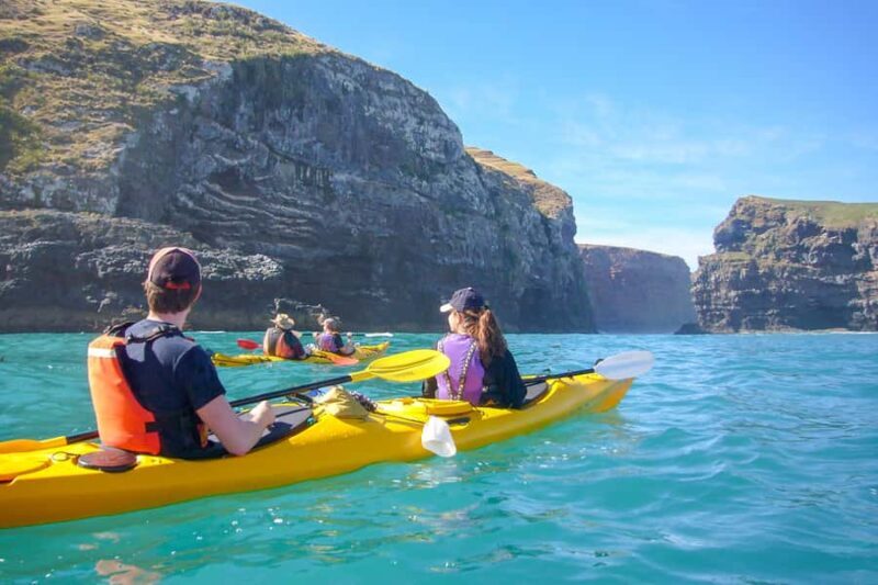 Akaroa: 4WD Safari and Guided Sea-Kayaking Experience - Exploring the Tour Itinerary in Depth