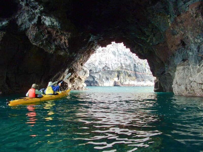 Akaroa: 4WD Safari and Guided Sea-Kayaking Experience - The Sum Up