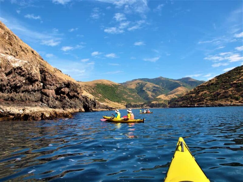 Akaroa: 4WD Safari and Guided Sea-Kayaking Experience - FAQ