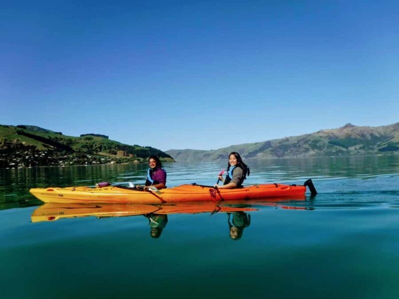 Akaroa: Akaroa Marine Reserve Sea Kayaking Tour - An In-Depth Look at the Experience