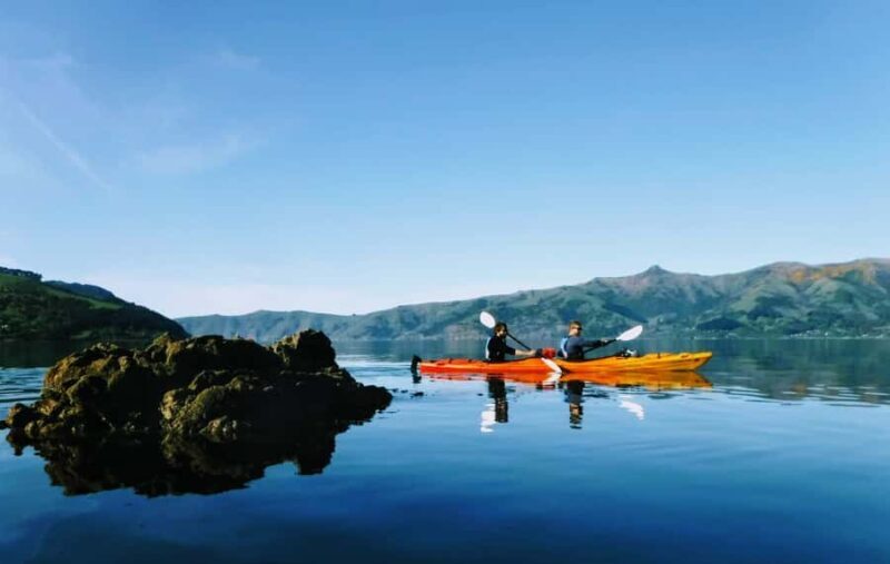 Akaroa: Akaroa Marine Reserve Sea Kayaking Tour - Final Thoughts