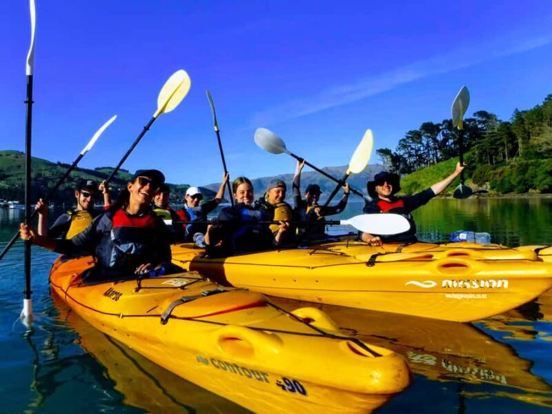 Akaroa: Akaroa Marine Reserve Sea Kayaking Tour - FAQ