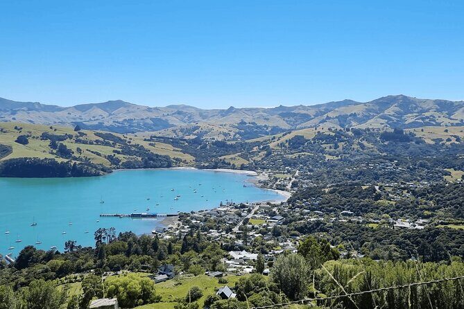 Akaroa and Akaroa Dolphins Day Tour - A Full Breakdown of the Experience