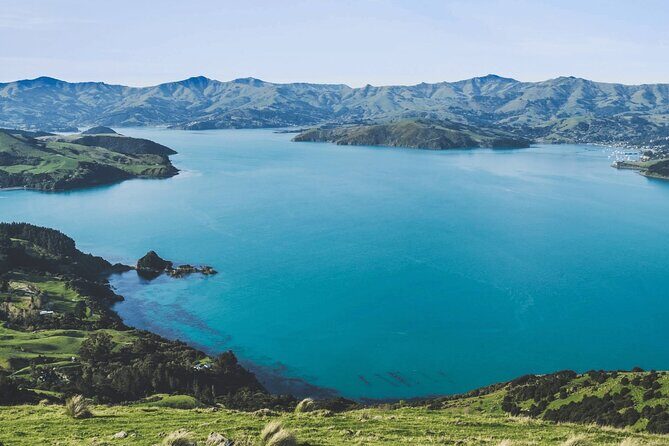 Akaroa and Akaroa Dolphins Day Tour - Practical Tips for Travelers
