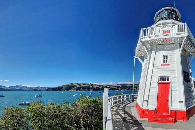 Akaroa and Akaroa Dolphins Day Tour - The Value and Who It’s For