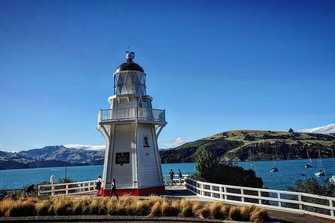 Akaroa and Akaroa Dolphins Day Tour - The Bottom Line