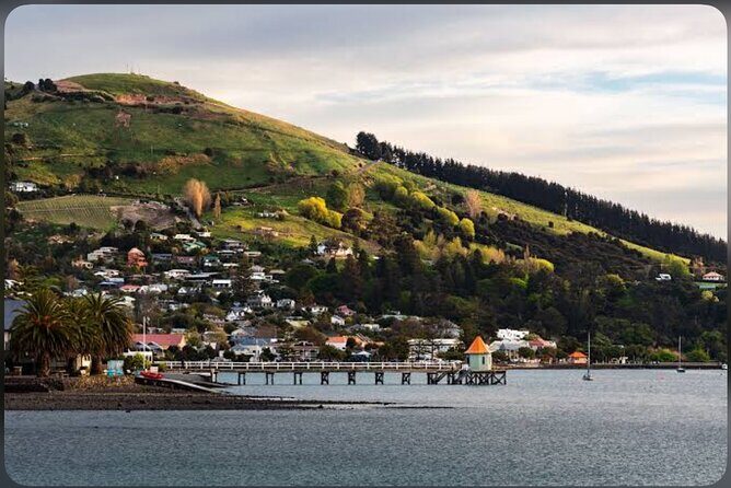 Akaroa Day Tour From Christchurch - Why This Tour Offers Great Value