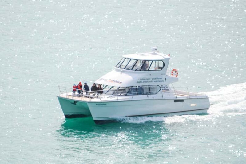 Akaroa: Dolphin Nature Cruise - The Experience in Detail
