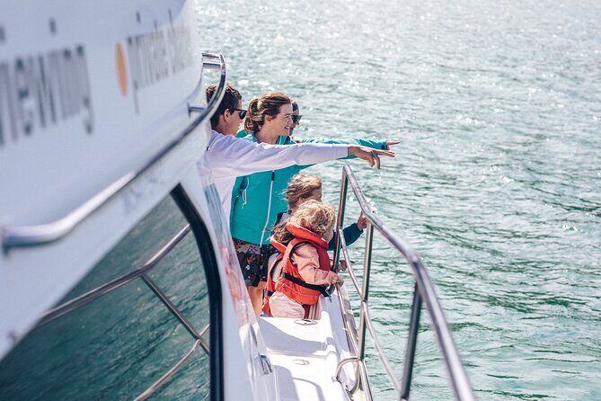 Akaroa Dolphins ~ Harbour Nature Cruise - An In-Depth Look at the Experience