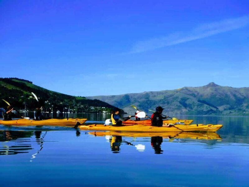 Akaroa: Electric Mountain Bike and Sea Kayak Adventure - Introduction