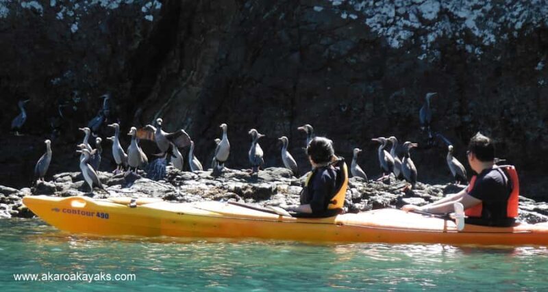 Akaroa: Electric Mountain Bike and Sea Kayak Adventure - Final Thoughts