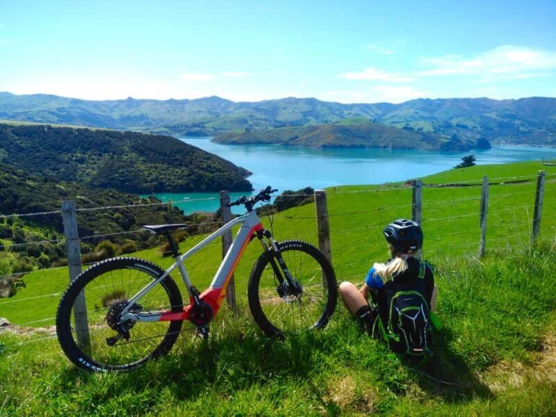 Akaroa: Electric Mountain Bike and Sea Kayak Adventure - Who It’s Best For