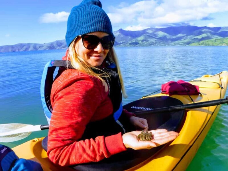 Akaroa: Electric Mountain Bike and Sea Kayak Adventure - FAQ