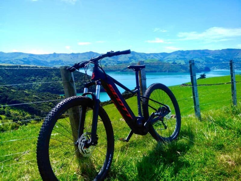 Akaroa Explorer: Guided Electric Mountain Bike Tour - An In-Depth Look at the Akaroa Electric Bike Tour