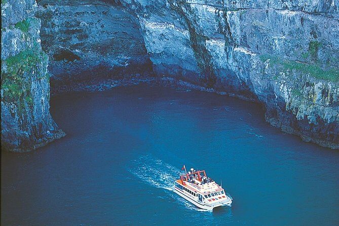 Akaroa Full Day Sightseeing Tour from Christchurch - Introduction: Why This Tour Catches the Eye