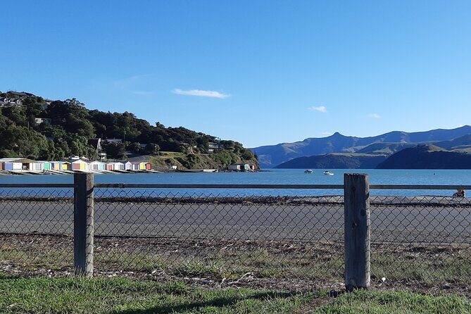 Akaroa & Giants House Garden tour ex Lyttelton (Shore Excursion) - Final Thoughts