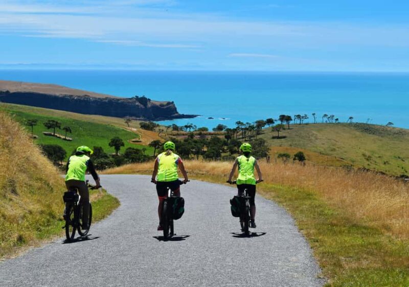 Akaroa: Guided Electric Mountain Bike Tour-Lava Loop - Key Points
