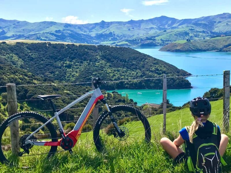 Akaroa: Guided Electric Mountain Bike Tour-Lava Loop - A Closer Look at the Lava Loop Experience