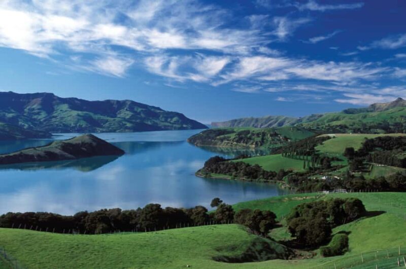 Akaroa Harbour 2-Hour Dolphin Nature Cruise - Setting the Scene: The Experience in Detail