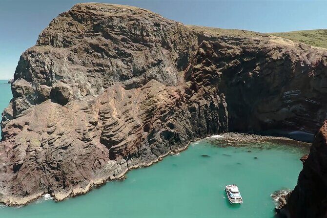 Akaroa Harbour Nature Cruise - An Overview of the Akaroa Harbour Cruise Experience