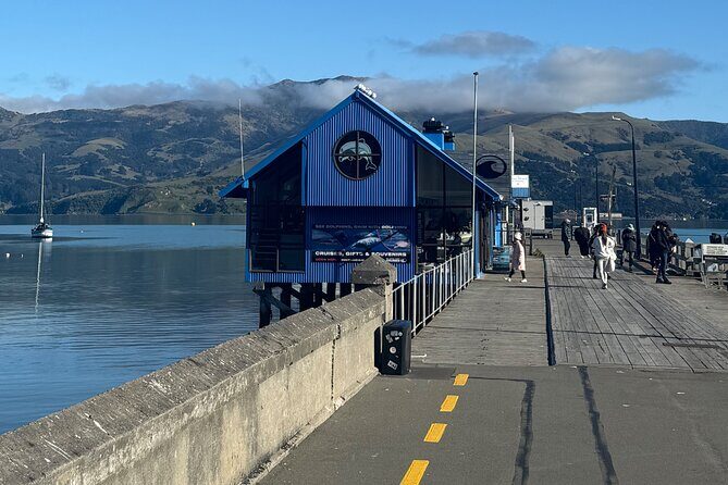 Akaroa Private Day Tour from Christchurch - What the tour involves: a detailed breakdown