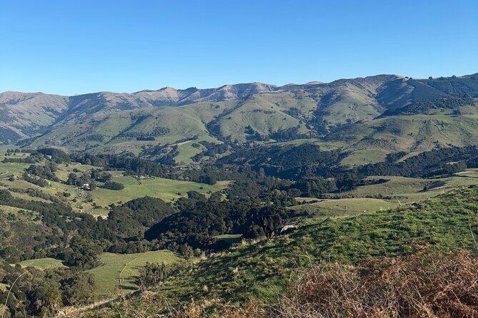 Akaroa Private Day Tour from Christchurch - The highlight: Akaroa