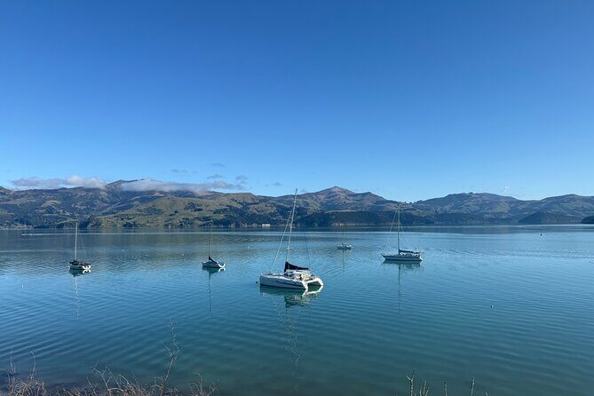 Akaroa Private Day Tour from Christchurch - End of the day: Christchurch return