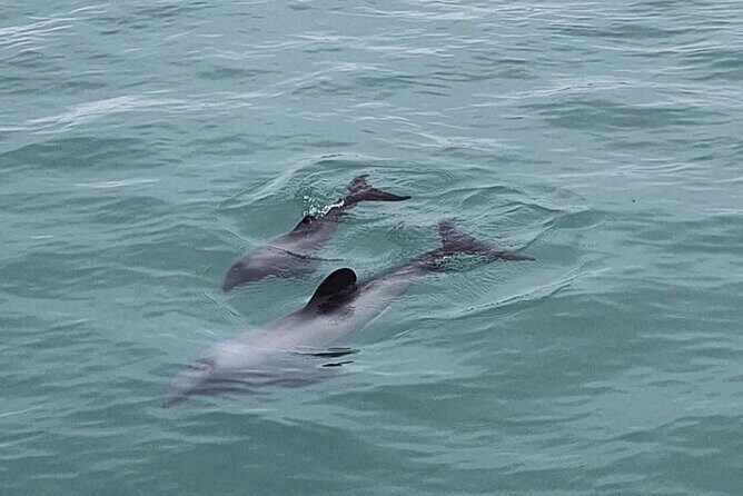 Akaroa Private Day Trip From Christchurch - Final Thoughts