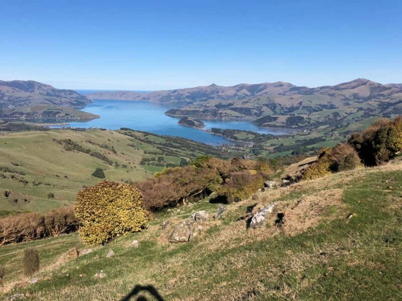 Akaroa: Scenic Coastline Wildlife Cruise - Exploring the Akaroa Wildlife Cruise: A Genuine Look