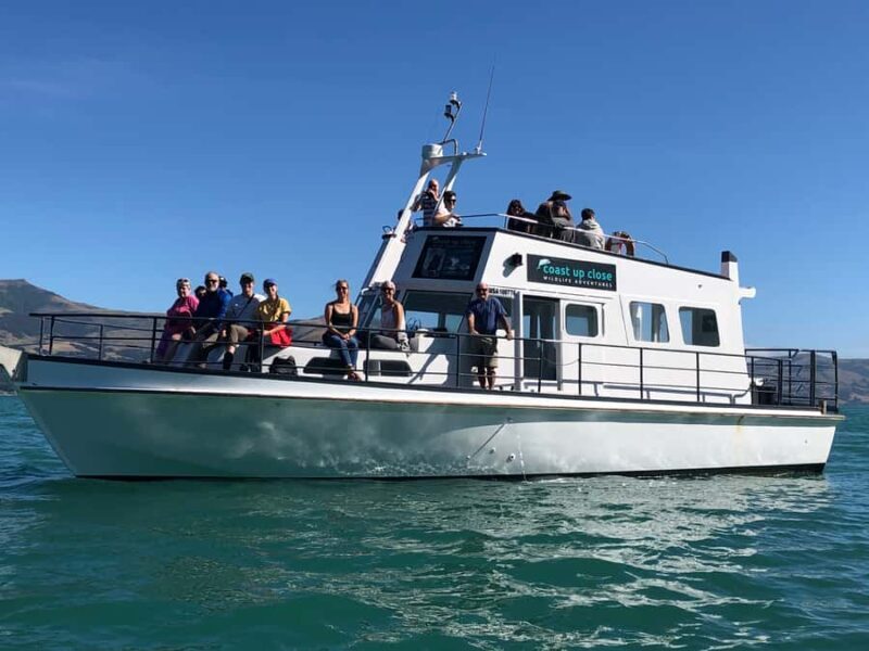 Akaroa: Scenic Coastline Wildlife Cruise - Practical Tips for Your Trip