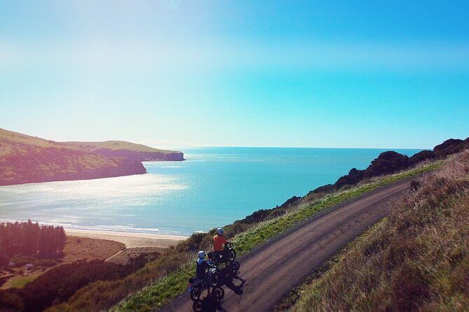 Akaroa Self Guided Electric Scooter Tour - Authentic Reviews and What They Say