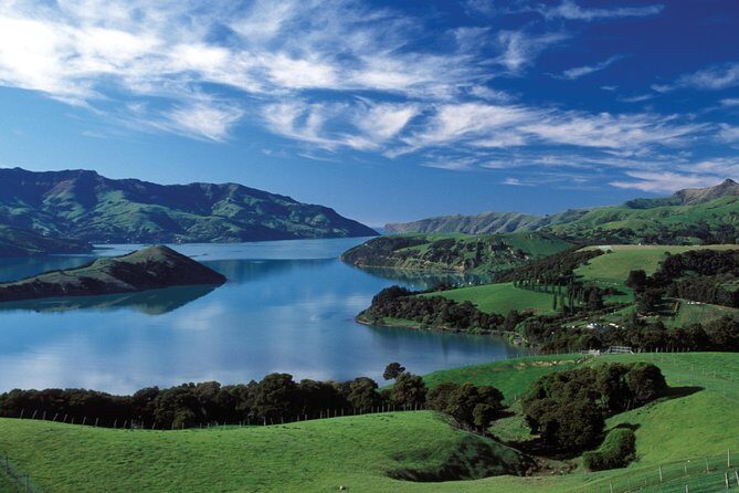 Akaroa Shore Excursion: Akaroa Harbour and Giants House Local Tour - The Itinerary in Detail