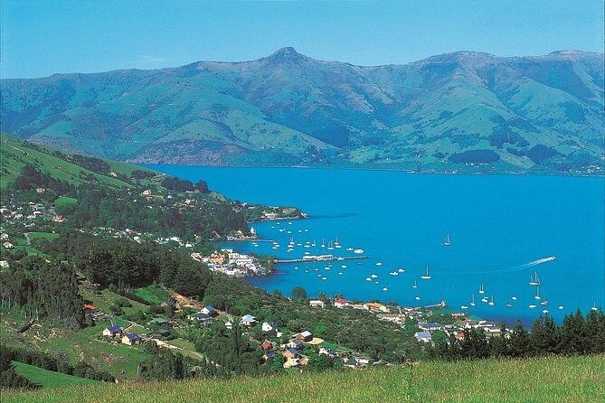 Akaroa Shore Excursion: Akaroa Harbour and Sheep Farm Local Tour - The Itinerary in Detail: What to Expect