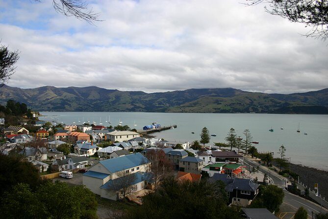 Akaroa Shore Excursion: Akaroa Harbour and Sheep Farm Local Tour - What Do the Reviews Say?