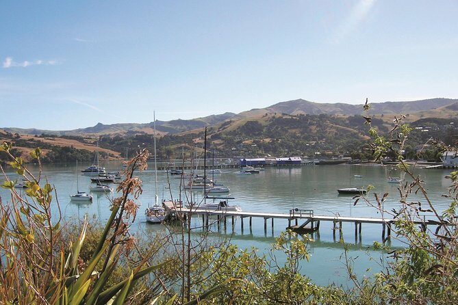 Akaroa Shore Excursion: Banks Peninsula, Christchurch City Tour and the International Antarctic Centre - What Travelers Appreciate and What Could Be Better