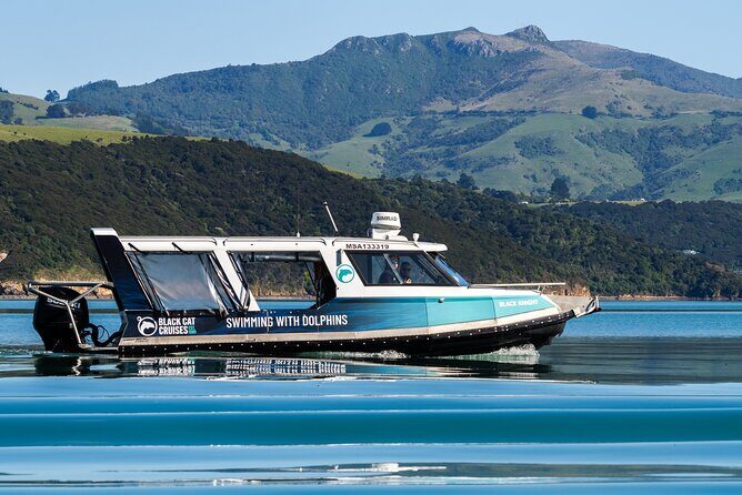Akaroa Swim with Dolphins Tour from Christchurch - FAQs